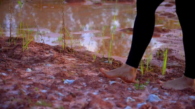 static close up shot of woman walking with bare feet on withered natural clay ground, 4k, slow motion