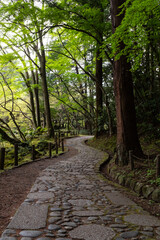 Obraz premium Walking path at Naritasan Shinsho-ji temple