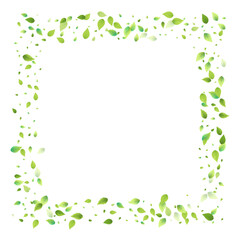 Leaves Green Falling Flying Foliage Leaf Tea Mint