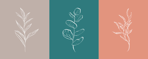 A set of fine white drawn bay leaf, eucalyptus leaf and tree leaf on colored background. With trendy summer color palette. For design, website, print, tattoo, banner, social media post and stories © taniKoArt
