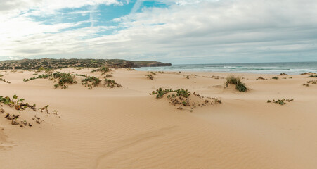 Dune landscape on Bordeira beach in the Natural Park of Southwest Alentejo and Vicentine coast
Europe Portugal Nature Travel Rota Vicentina Coastal Hiking Trail