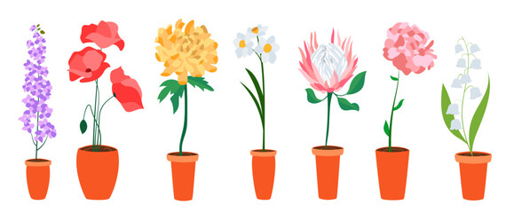 Obraz premium Colorful flat flowers in long pot. Perfect for illustrations and nature education.