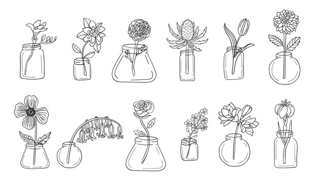 Realistic flower vase line art set. Perfect for illustrations.