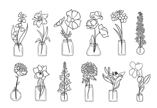 Realistic flower pot line art set. Perfect for illustrations.