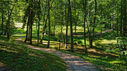 A road in one of the noble estates.