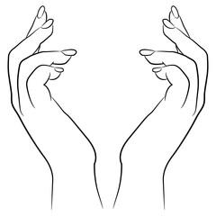 Two raised up female hands in elegant gesture. Black and white linear silhouette. Cartoon style.