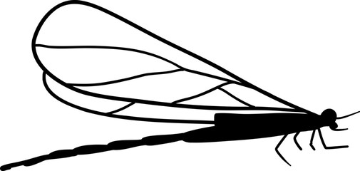 dragonfly lineart illustration. hand-drawn dragonfly illustration