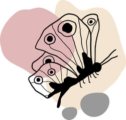 butterfly lineart illustration. hand-drawn butterfly illustration