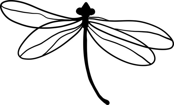 dragonfly lineart illustration. hand-drawn dragonfly illustration