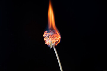 Dandelion in flame