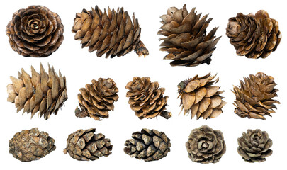 A collection of small pine cones for Christmas tree decoration isolated against a transparent background. A collection of large pine cone.