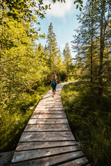 Mountain landscape in Slovakia mountains, Juranova dolina - valley in The Western Tatras national park, oravice, Orava region. Educational trail through the bog © Zedspider