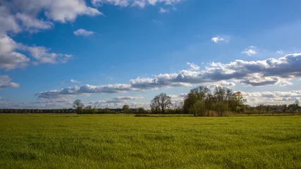 Foto auf Leinwand ein grünes Feld vor bewölktem Himmel - Biest Houtacker © jsr548
