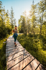 Mountain landscape in Slovakia mountains, Juranova dolina - valley in The Western Tatras national park, oravice, Orava region. Educational trail through the bog © Zedspider