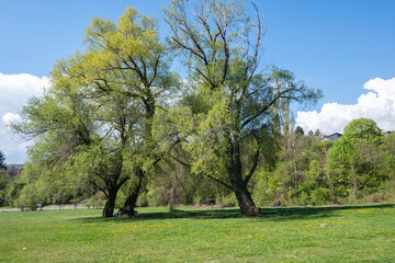 Spring Landscape of Pancharevo lake, Bulgaria