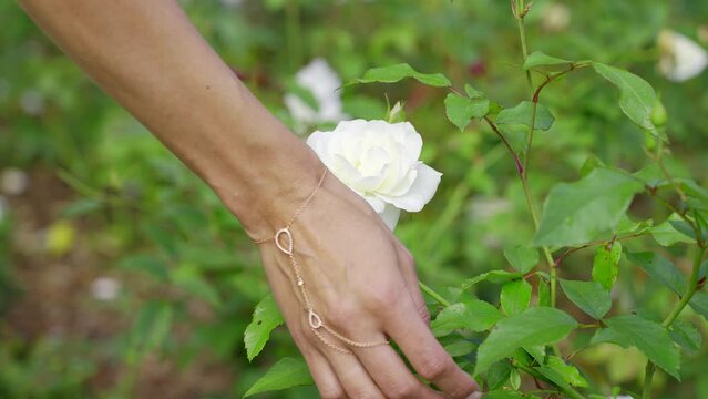 static close up shot of a woman's hand gently touching a blooming white rose flower