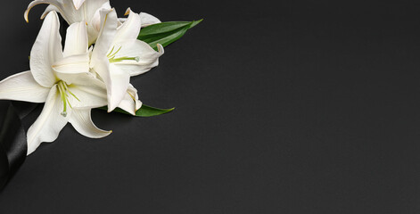 Naklejka na ściany i meble White lily flowers on dark background with space for text