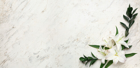Composition with beautiful lily flowers on light background with space for text