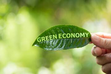 Green economy text in green leaf on nature background. - obrazy, fototapety, plakaty