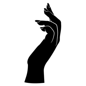 recommend clip art: Raised up female hand in elegant gesture. Black and white negative silhouette.