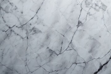white marble texture with black veins