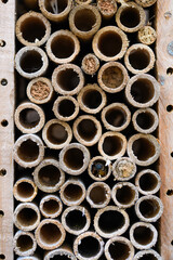 insect hotel, also known as a bug hotel or insect house