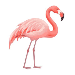 Pink flamingo vector illustration isolated on white background. Generative AI
