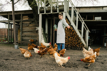 an attractive young woman standing near the chicken coop holding a jar with grain and feeding the...