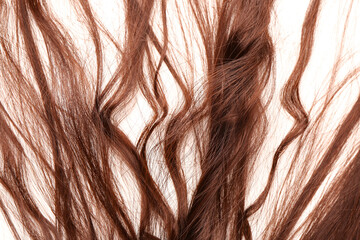 Brown hair on white background