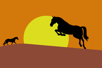 Silhouette, contour of a horse, against the background of sunrise or sunset