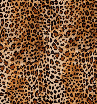 leopard animal fur skin seamless pattern © tangerinespy