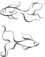 Painted fish, beautiful lines. Tattoo. Vector fish for tattoos, signage, logos, colorings.