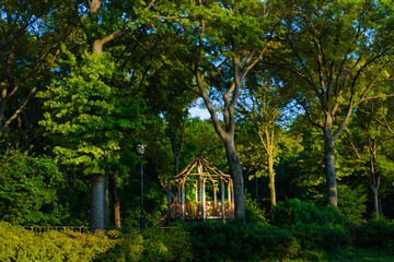 Gazebo in the middle of a park