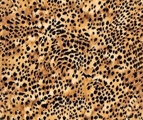 leopard animal fur skin pattern