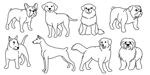 Dogs collection, Vector illustration of funny cartoon different breeds dogs in trendy flat style. Isolated on white.