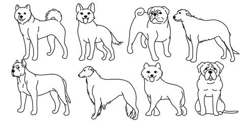 Hand drawn cute dogs doodles set. Vector illustration on white background.