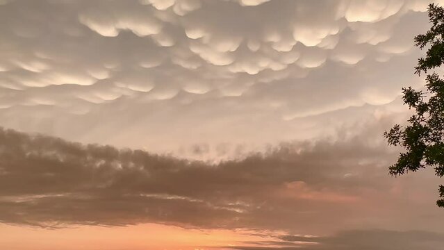 After an unexpected spring rain, mammatus clouds erupt in the sky, giving drama to an already gorgeous sunset.