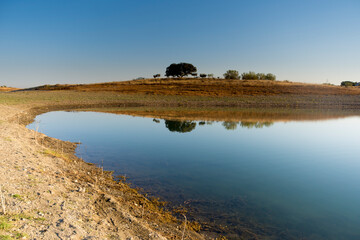 beautiful sunrise light with river curve and shore reflections
