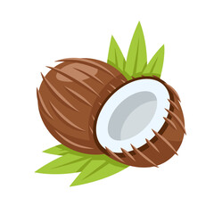 Coconut icon isolated on white background. Cartoon style. Vector illustration