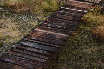 Fototapeta premium old wooden bridge