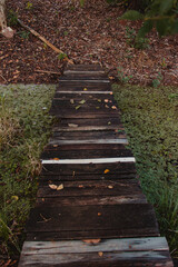 rustic wooden path