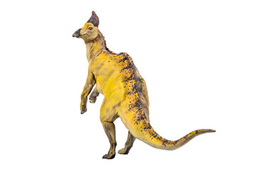 dinosaur , Olorotitan  isolated background