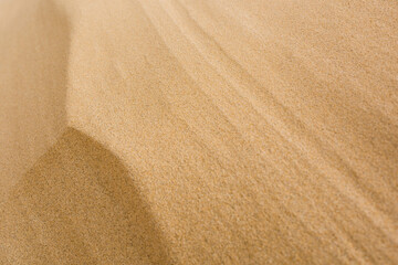 Fototapeta na wymiar textured sand dune close up 
