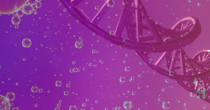 Animation of bubbles over dna strand on purple background