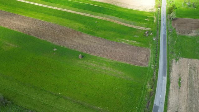 Aerial view of farming fields. Arad county, Romania. Drone footage. 