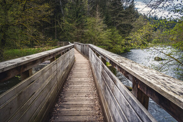 Impressions of the hiking trail Ilztalwanderweg near Kalteneck, Passau, Bavaria, in spring