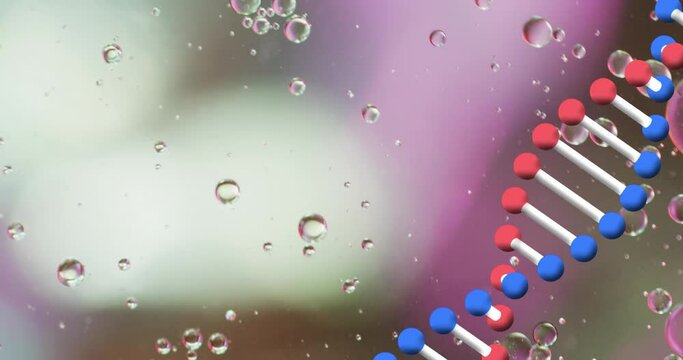Animation of bubbles over dna strand on blurred background