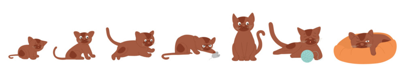 Cat growth set. Collection of kittens with ball, playful characters. Stages of development, biology. Cute pet and domestic animal. Cartoon flat vector illustrations isolated on white background