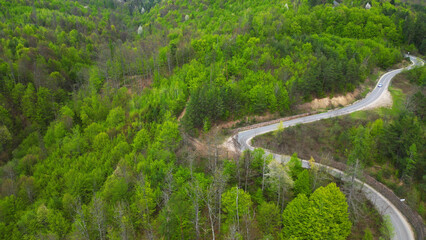 Aerial top view, rural road in the forest. Drone footage.