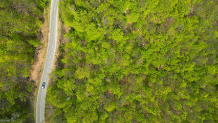 Curved road. Aerial drone footage, rural road in the forest. Arad, Romania.